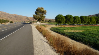 Enlarge photo 15
