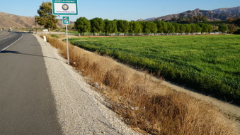 Enlarge photo 21