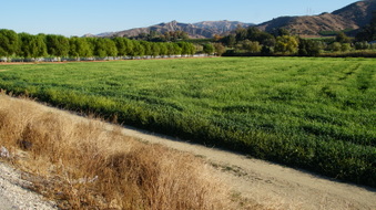 Enlarge photo 23