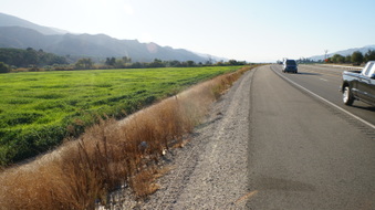 Enlarge photo 27