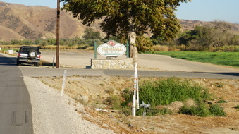 Enlarge photo 37
