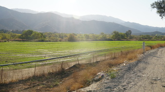 Enlarge photo 7