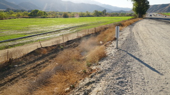 Enlarge photo 19