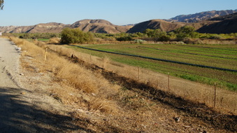 Enlarge photo 24