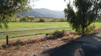 Enlarge photo 26