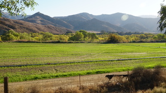 Enlarge photo 27