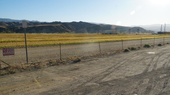 Enlarge photo 19