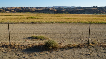 Enlarge photo 35