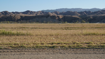 Enlarge photo 36