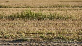 Enlarge photo 37