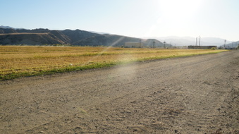 Enlarge photo 39