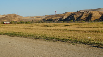 Enlarge photo 42