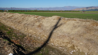 Enlarge photo 27