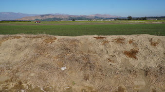 Enlarge photo 28