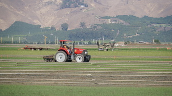 Enlarge photo 31