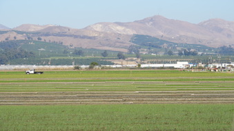 Enlarge photo 32