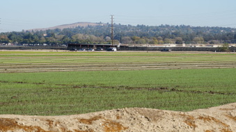 Enlarge photo 33