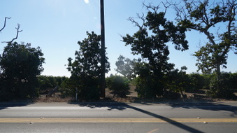 Enlarge photo 38