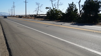 Enlarge photo 37
