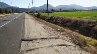 Enlarge photo 10