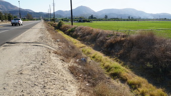 Enlarge photo 13