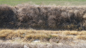 Enlarge photo 15