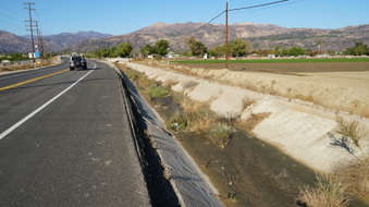 Enlarge photo 24