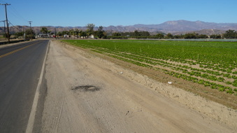 Enlarge photo 17