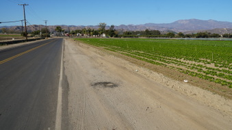 Enlarge photo 18