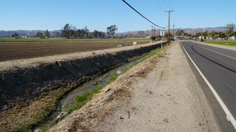 Enlarge photo 32