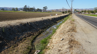 Enlarge photo 33
