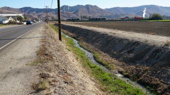 Enlarge photo 35