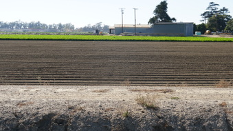Enlarge photo 37