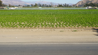 Enlarge photo 39