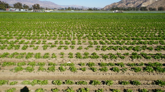 Enlarge photo 40