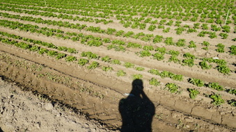 Enlarge photo 43