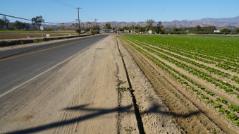 Enlarge photo 46