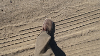 Enlarge photo 47