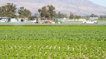 Enlarge photo 48
