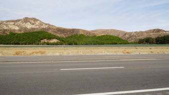 Enlarge photo 19