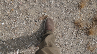 Enlarge photo 25