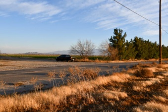 Enlarge photo 25