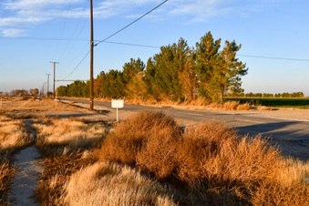 Enlarge photo 21