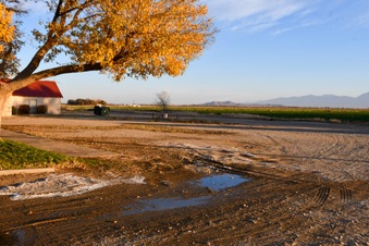 Enlarge photo 17