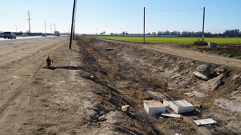 Enlarge photo 15
