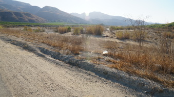 Enlarge photo 11