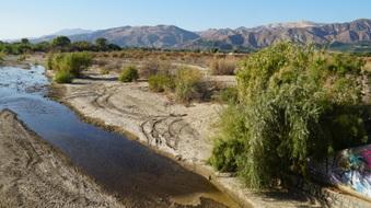 Enlarge photo 20