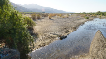 Enlarge photo 21