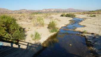 Enlarge photo 24