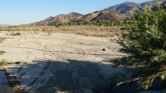 Enlarge photo 26